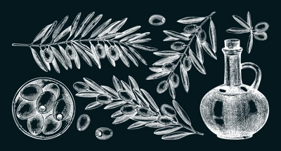Olive tree branches on chalkboard. Fruit in a bowl, glass bottle, olives sketches. Hand-drawn vector illustration. Oil packaging design elements